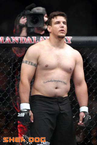 frank mir stats